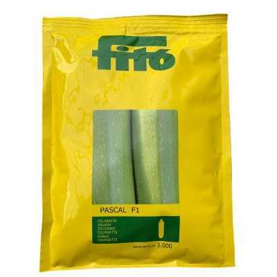 FITO SEMI DI ZUCCHINO F1 PASCAL 1000 SEMI