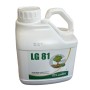GOBBI LG 81 MISCELA DI ENZIMI E METABOLITI STIMOLANTE RADICANTE