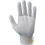 GLOVE FILANCA GR 40 48 CA WHITE COLOR TG 7 9