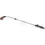 IPIERRE DELICATE WATERING CAN FOR FLOWERING PLANTS LONG ROD
