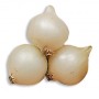 WHITE ONION BULBS SILVERMOON GR. 500