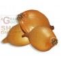 BULBI DI CIPOLLA CENTURION F1 KG. 0,500 