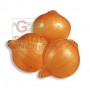 BULBI DI CIPOLLA PICKO BELLO MM. 14/21 KG. 0,500 