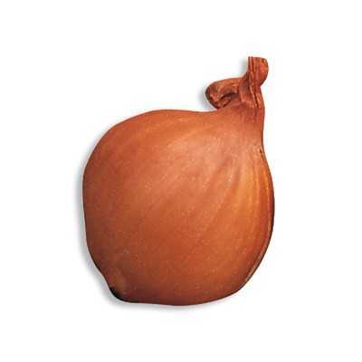 ONION BULBS SHALLOT RED SUN 7/15 GR. 500