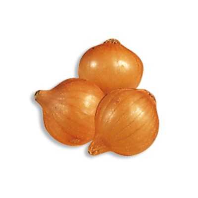 STUTTGART ONION BULBS 214/21 KG. 0.500