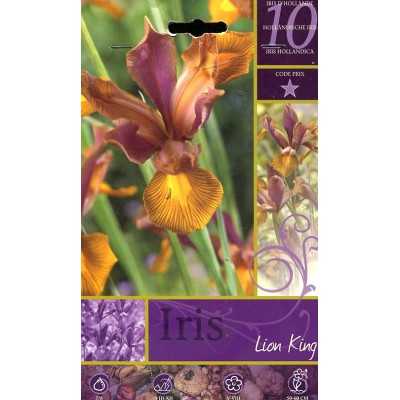 BULBI DI FIORE IRIS LION KING N. 10 