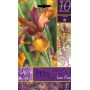 BULBI DI FIORE IRIS LION KING N. 10 