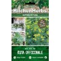 KITCHEN HERBS SEMI DI RUTA OFFICINALE