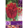 BULBI DI FIORE TULIPA PACIFIC PEARL N. 7 