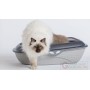 Practical and hygienic Bama Shuttle litter with splash guard for cats