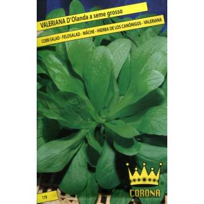 ENVELOPES CROWN SEEDS OF HOLLAND VALERIANA BIG SEED