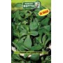 BUSTE DOTTO SEMI DI VALERIANA VERT A COEUR PLEIN 