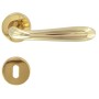 MANIGLIA DROP WITH ROSETTE OLV