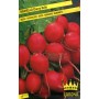 BUSTE SEMI RAVANELLO CHERRY BELLE 