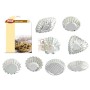 MAX SET 8PZ STAMPI CESTINI - 4 DESIGN
