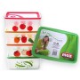 MAX FRIDGE SET 3 VEGETABLE CONTAINERS