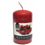 SCENTED CANDLE WITH WILD BERRIES DIAMETER 5 X 8 H.