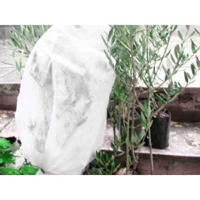 NON-WOVEN FABRIC NON-WOVEN HOOD CM.60x80