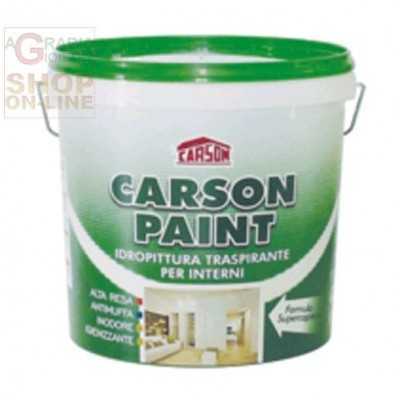 CARSON PAINT SEMI WASHABLE PAINT BREATHABLE SUPER OPAQUE LT. 14