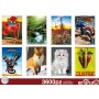 NOTEBOOKS 80GR WITH 4MM 60/10