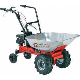 EUROSYSTEM CARRY 450 BRIGGS AND STRATTON POWER TRUCK