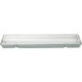 CEILING LAMP IP65 2X36W WITH NEON