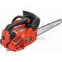 MOTOSEGA CASTOR CP 300 DA POTA CON BARRA CARVING CM. 25 CP300 