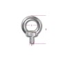 Robur AISI 316 M12 male eyebolts