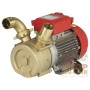 ROVER ELECTRIC PUMP FOR TRANSFER M - 40 HP. 1.2