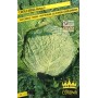 VERTUS CABBAGE SEEDS 2