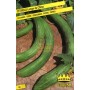 LONG CUCUMBER SEEDS OF CHINA