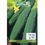 MARKETMORE CUCUMBER SEEDS GR. 50