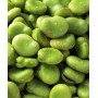SEMI DI FAVA PRECOCISSIMA GRANO BIANCO SEMI SACCO DA KG. 25