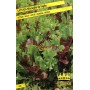 LETTUCE SEEDS MIXTURE FROM CUTTING