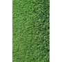 GRAMIGNA MEADOW SEEDS KG. 1 CYNODON DACTYLON