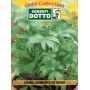 AROMATIC CELERY SEEDS FOR CUTTING