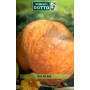 PUMPKIN SEEDS BIG MAX QUINTAL BAGS