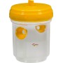 STOCKER TRAP FOR WASPS