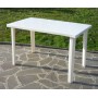 TABLE IN WHITE RESIN CM.120x70h.