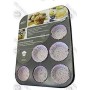 Pan for 12 cavity muffins mold with Non-stick and Anti-scratch