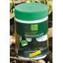 VIVO GREEN RAPID HORMON ROOTING HORMONE GR. 100