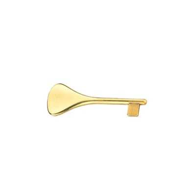BRASS KEY FOR SATIN CHROME DOORS ART. 510 MM. 88