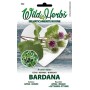 WILD HERBS BURDARD SEEDS