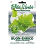 WILD HERBS SEMI DI BUON ENRICO O SPINACIO DI MONTAGNA