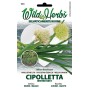 WILD HERBS ONION SEEDS