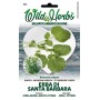 WILD HERBS SEMI DI ERBA DI SANTA BARBARA