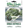 WILD HERBS OYSTER SEEDS