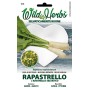 WILD HERBS SEEDS OF RAPE OR WILD RADISH