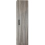 COLONNA BAGNO IRIS CON 1 ANTA cm. 30x19x120h. PALISSANDRO
