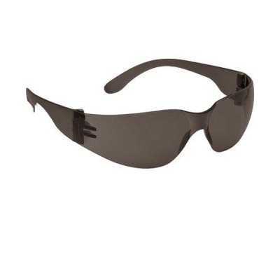 OCCHIALI DI SICUREZZA ECOVISION PC ANTIGRAFFIO LENTE GRIGIO